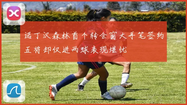 诺丁汉森林首个转会窗大手笔签约五将却仅进两球表现堪忧
