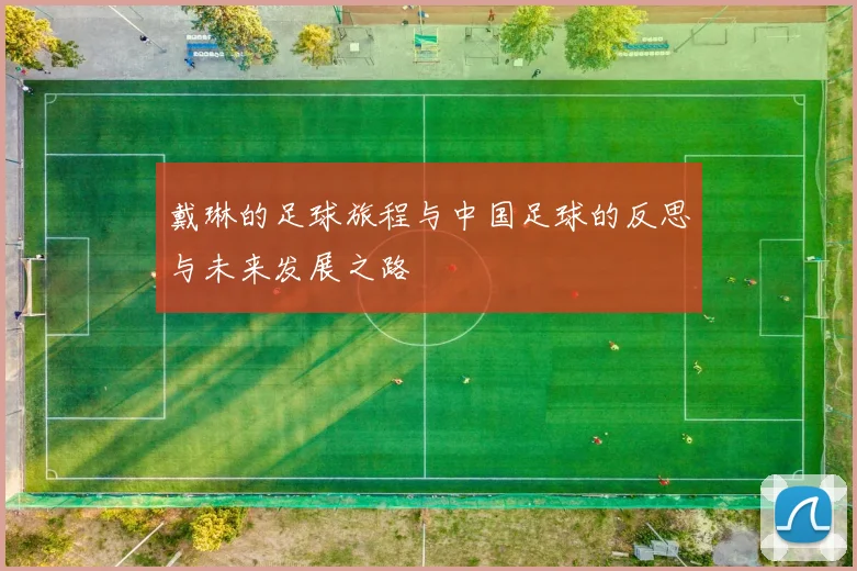 戴琳的足球旅程与中国足球的反思与未来发展之路