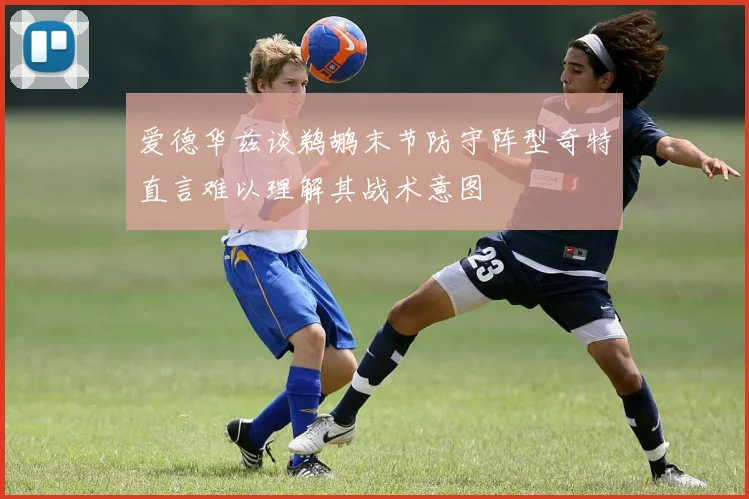 爱德华兹谈鹈鹕末节防守阵型奇特直言难以理解其战术意图