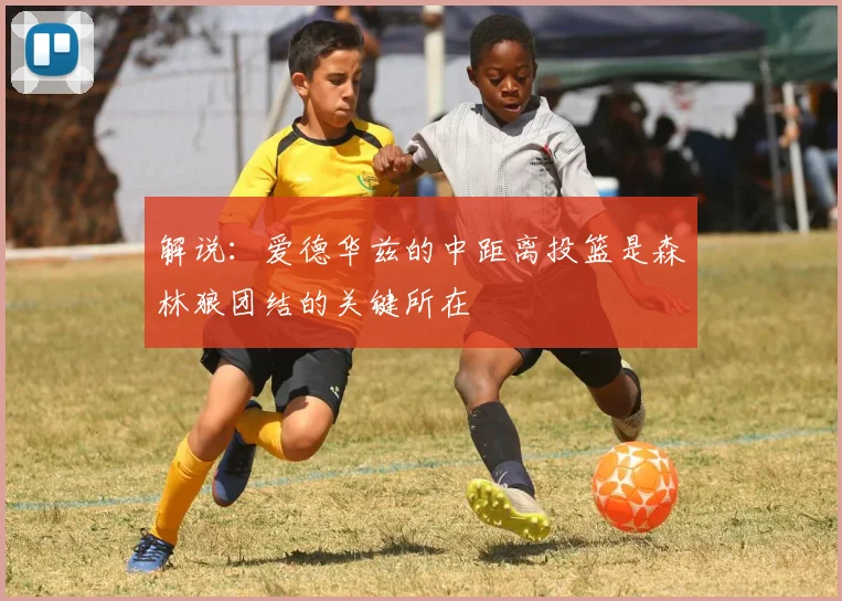 解说：爱德华兹的中距离投篮是森林狼团结的关键所在