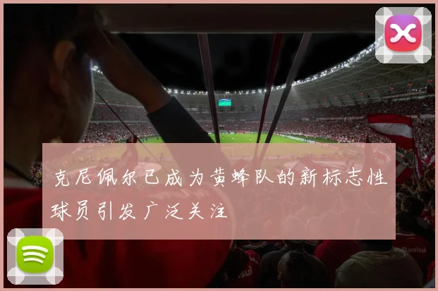 克尼佩尔已成为黄蜂队的新标志性球员引发广泛关注